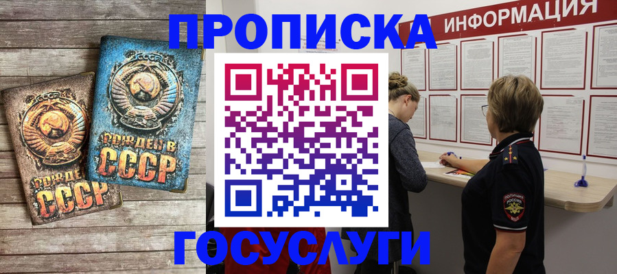 временная регистрация поиск в Железногорске